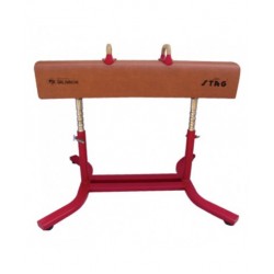 STAG Pommel Horse Competition New Elite